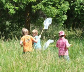 image d'enfants chassant les papillons