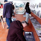 vue de l'exposition sur les pavets la vie