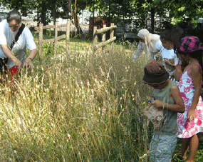 photo d'enfants récoltant des graines