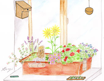 Dessin d'une reserve naturelle de plantes sur un balcon